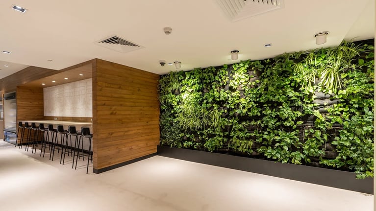 Creating a sustainable and eco-friendly workspace in Dubai